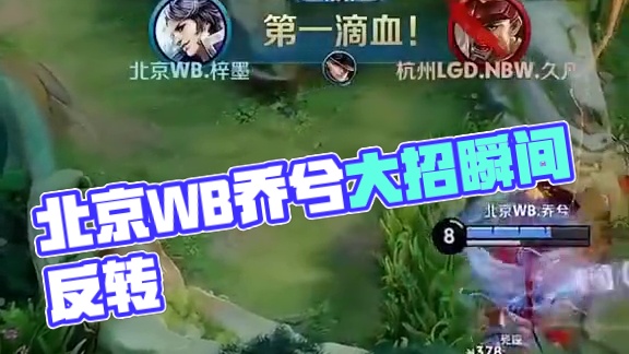 泄露进行微